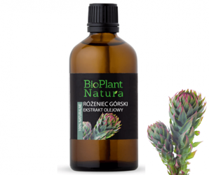 RÓŻENIEC GÓRSKI Ekstrakt Olejowy 100ml