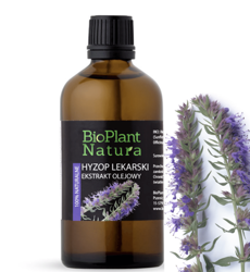 OLEJEK Z HYZOPU Lekarskiego 30ML Bioplant Moja Farma Urody