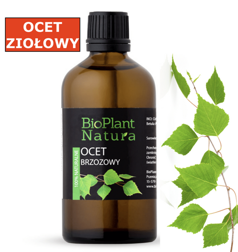 OCET z liści Brzozy 100ML Bioplant Moja Farma Urody