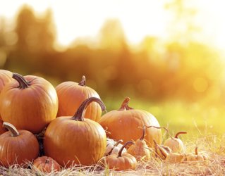 Masełko dyniowe Kostka do Kąpieli  Moja Farma Urody