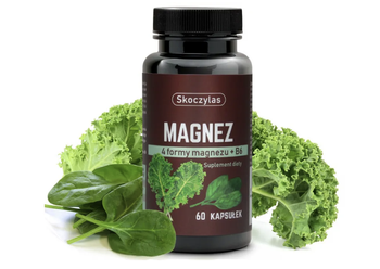 MAGNEZ 4 FORMY - SZPINAK, JARMUŻ Skoczylas