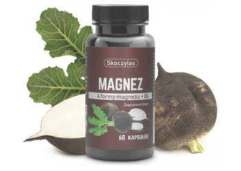 MAGNEZ 4 FORMY - CZARNA RZEPA Skoczylas