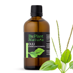 BABKA LANCETOWATA Ekstrakt Olejowy 100ml